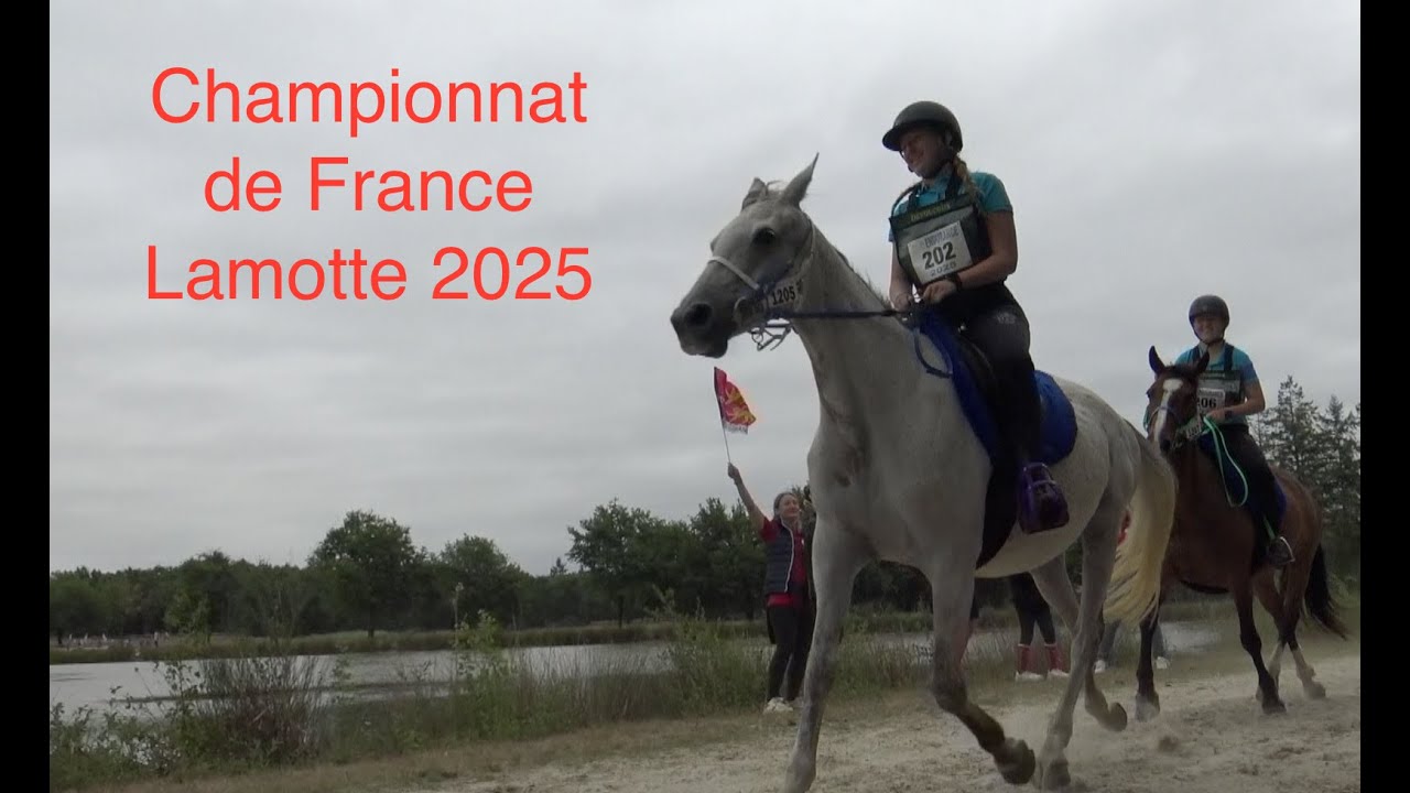 Championnat de France d'Endurance 2025 à Lamotte Beuvron