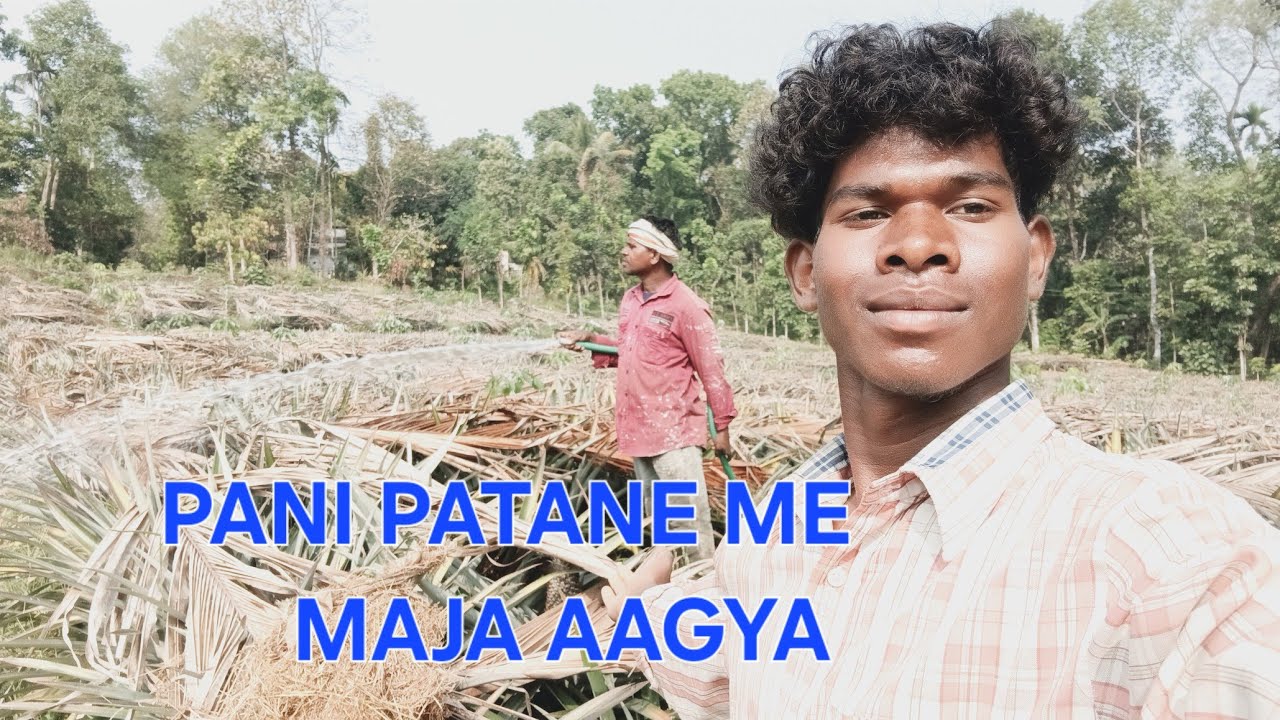 New Holland Mein Aaj to pineapple Mein kam karne mein maja hi a Gaya maje maje hi aaj to hai