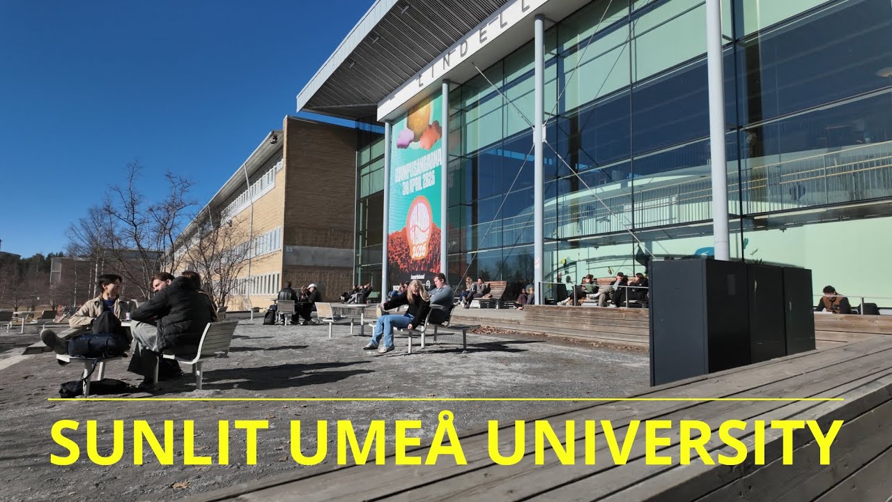 Sunny Walk at Ume&aring; University ☀️ | Nordic Campus Life in Ume&aring;, Sweden (4K)