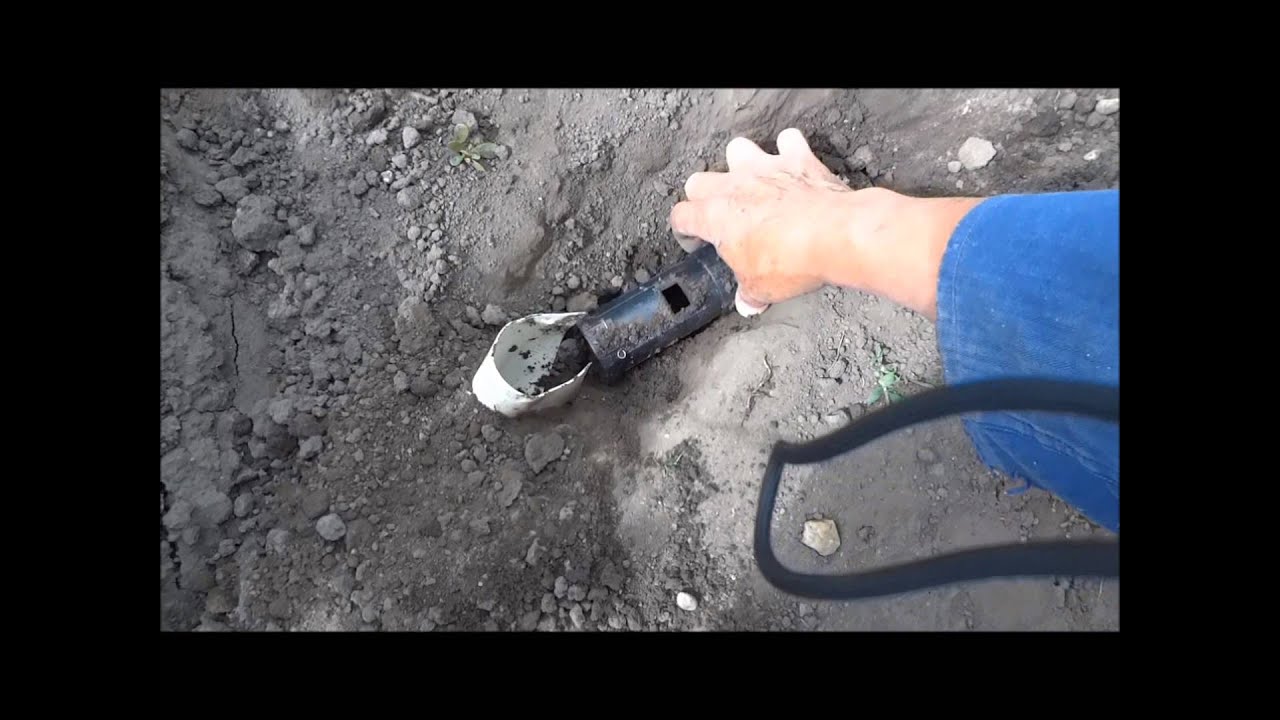 Pasca na krtka