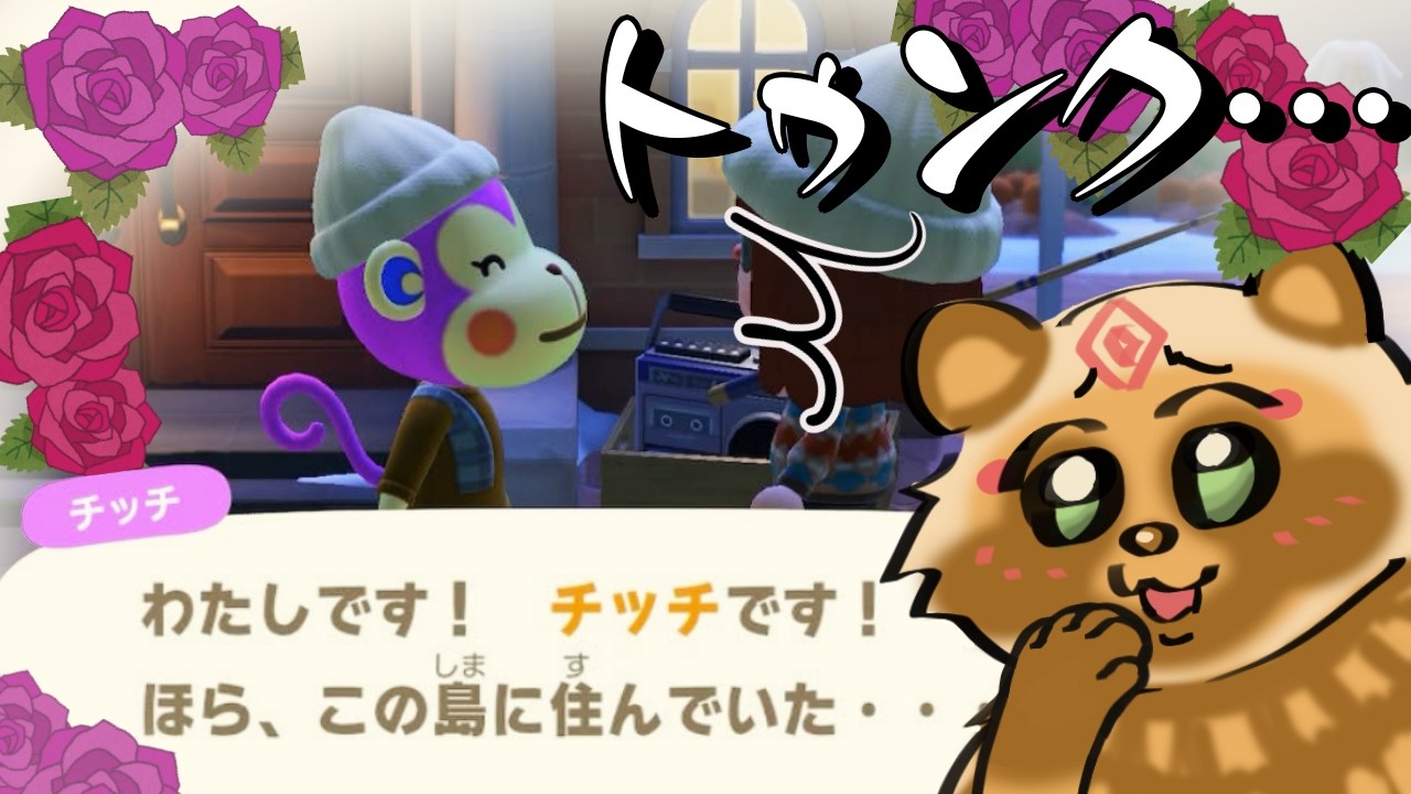 【あつまれどうぶつの森】元島民が泊りにきたの！？　413匹との一期一会【詰草マカロル/狸Vtuber】