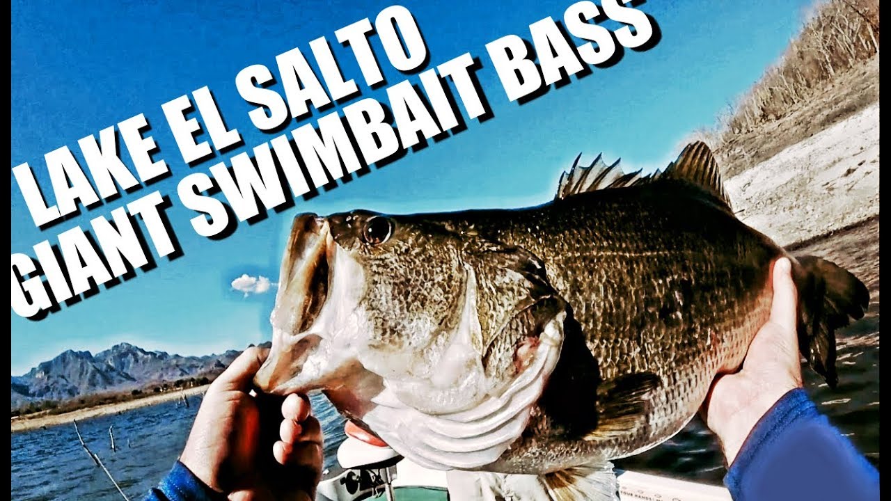Fishing BIG Swimbaits for GIANT Lake El Salto BASS || Ep. 4