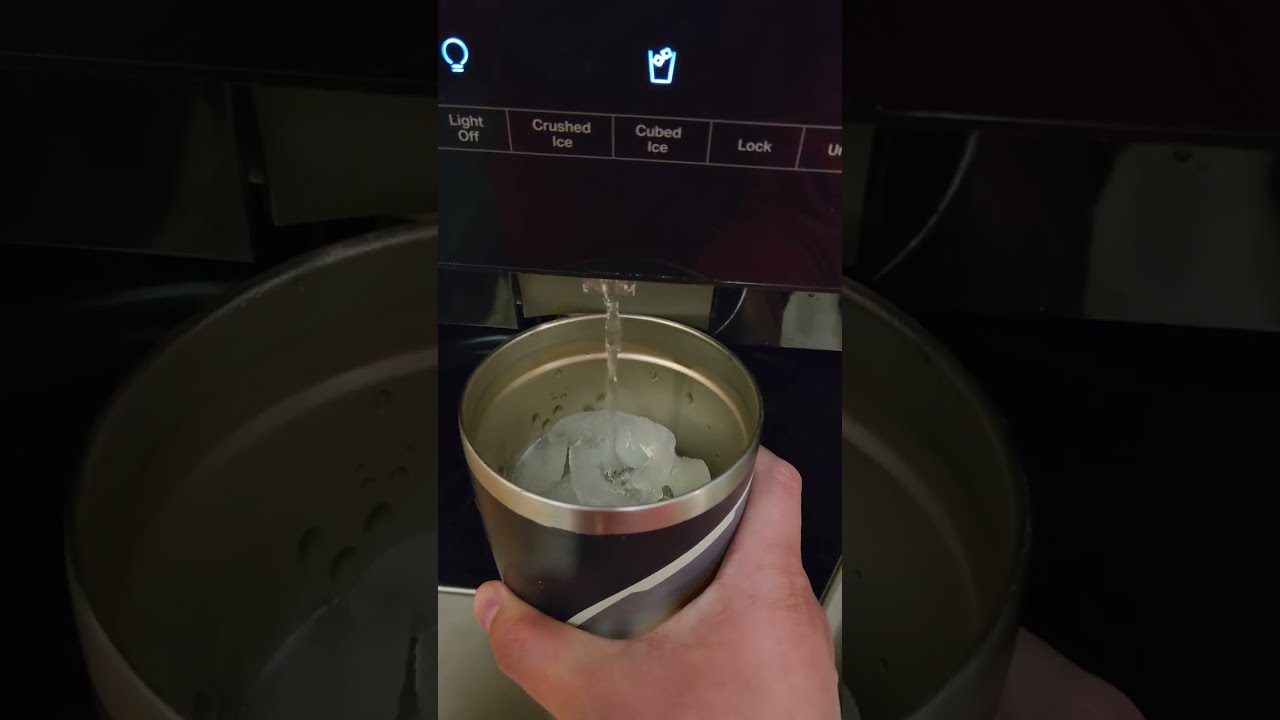 Slow refrigerator water dispenser DIY fix that worked for us! It might work on any model!