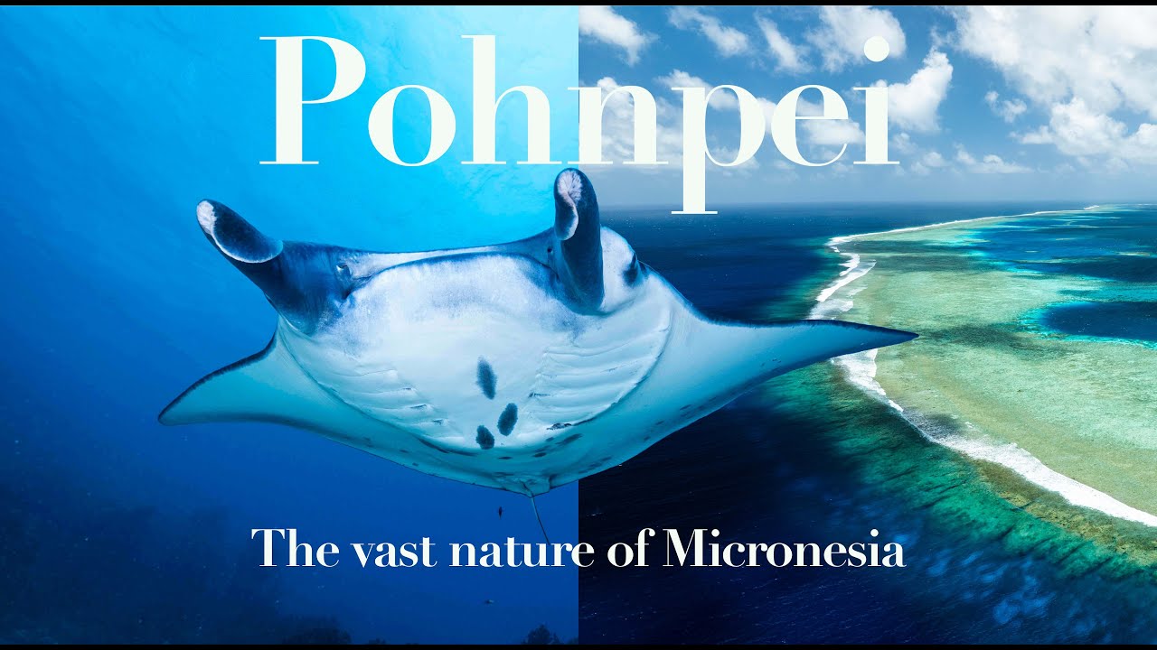 a Treasure Trove of Life｜Pohnpei, Micronesia