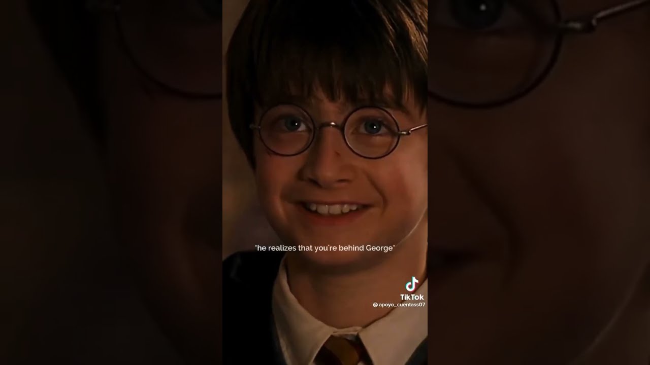 Harry Potter POVs
