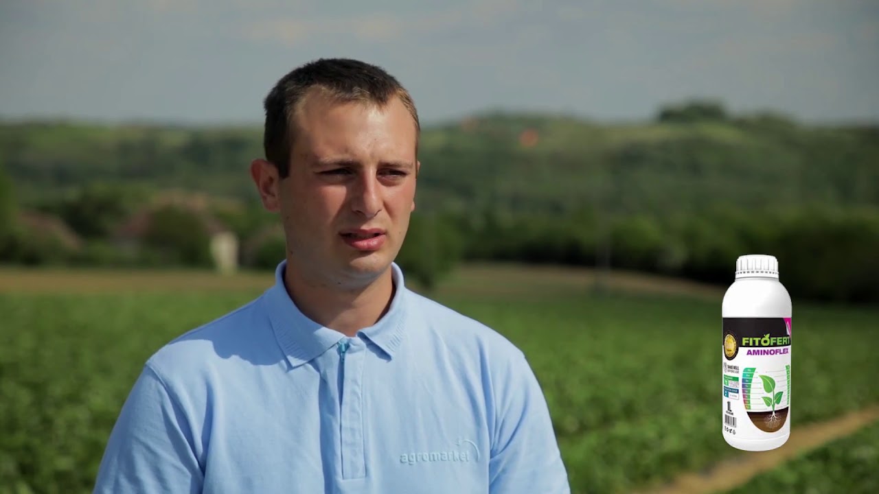 Kako Djubriti JAGODE i Zaštititi ih od INFEKCIJE - Ovo je VAŽNO!