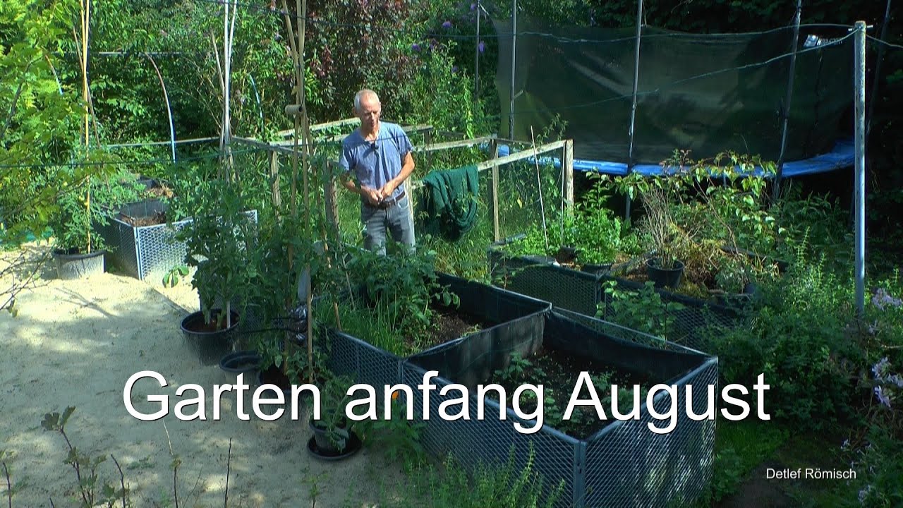 Garten Anfang August und was geht in der Vermehrung der Pflanzen