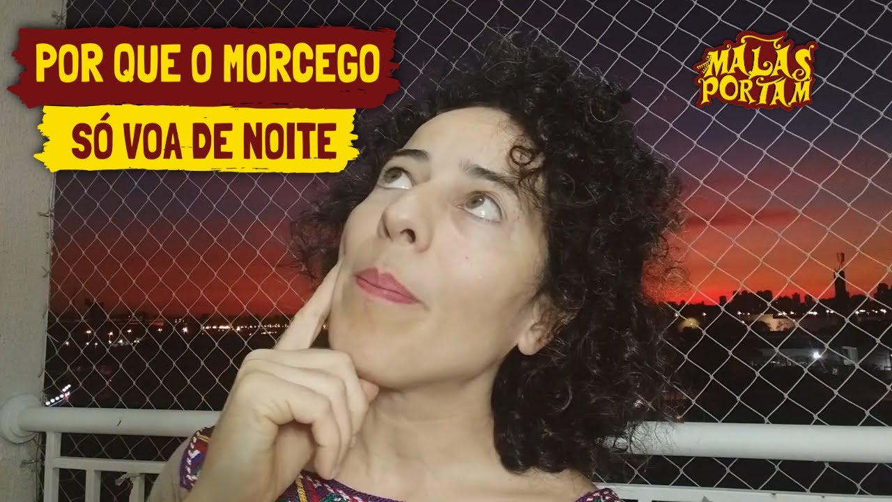 Hist&oacute;ria: POR QUE O MORCEGO S&Oacute; VOA DE NOITE (Conto popular Africano).