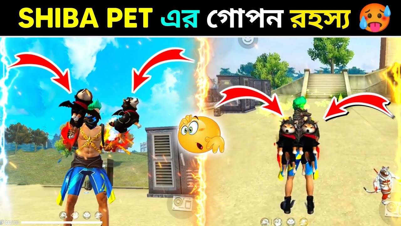 Shiba Pet এর গোপন রহস্য😳 | Bermoda ম্যাপের পুরাতন কাহিনি | Top 5 Unknown Facts about Freefire