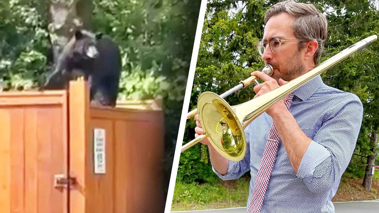This Music Teacher Used a Trombone to Scare a Bear
