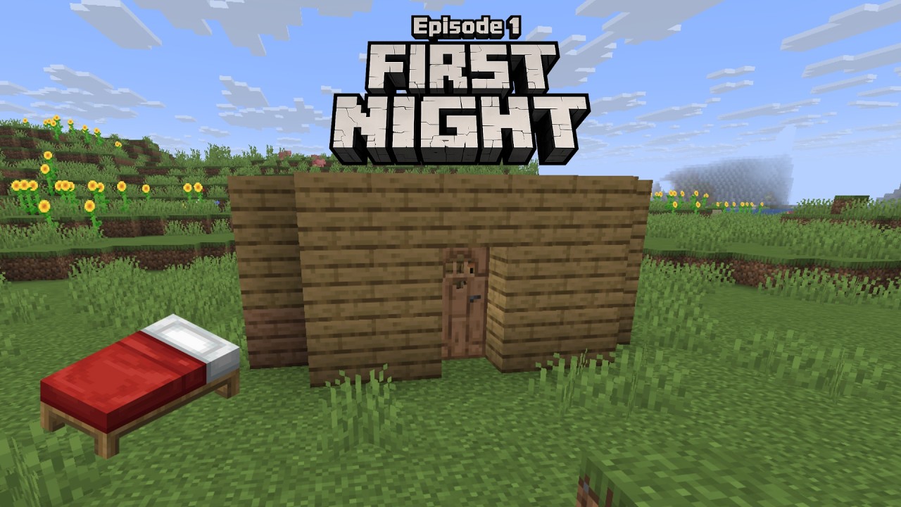 Minecraft Survival Walkthrough - Ep 1 - First Night