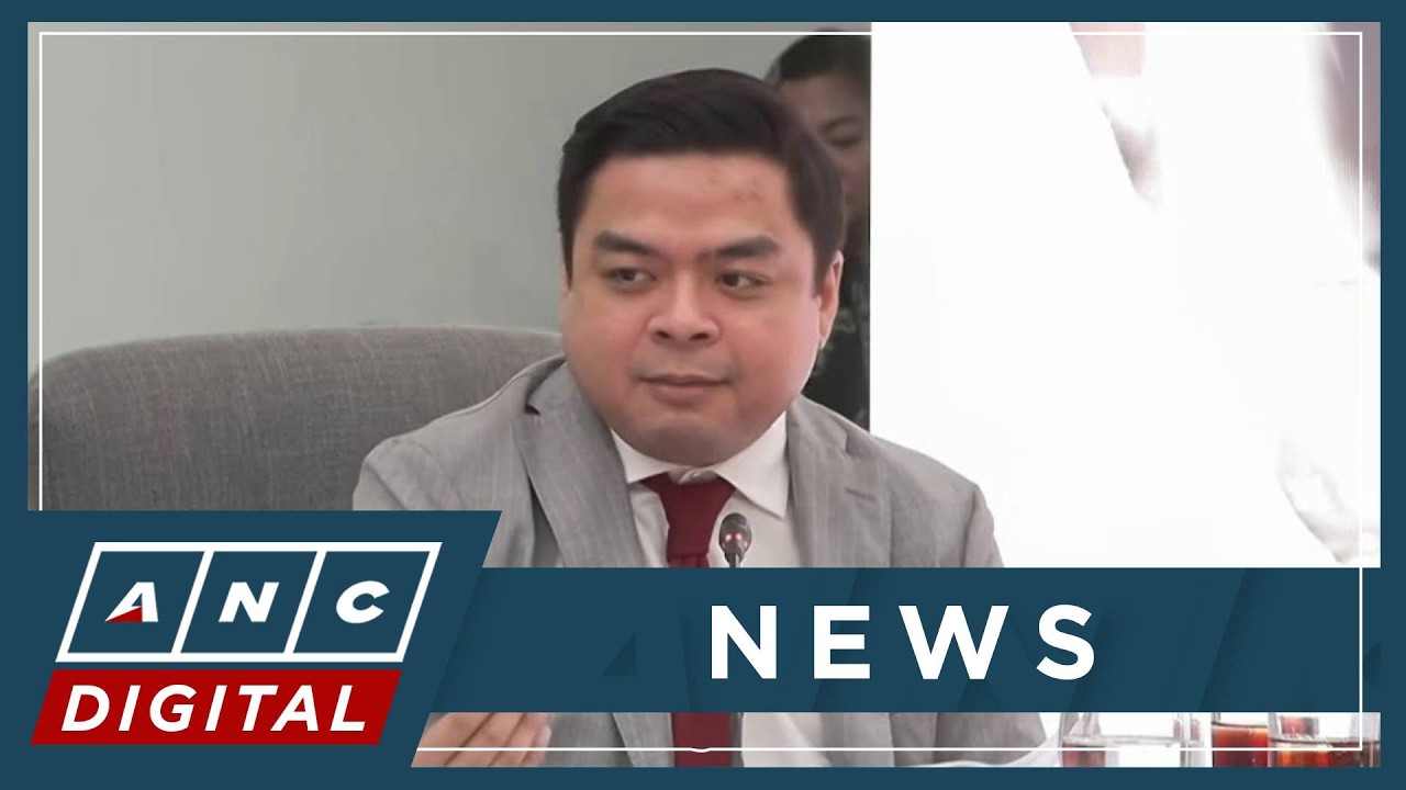 Ridon: Even if remove Madriaga, allegations of fund misuse vs VP Sara can stand | ANC