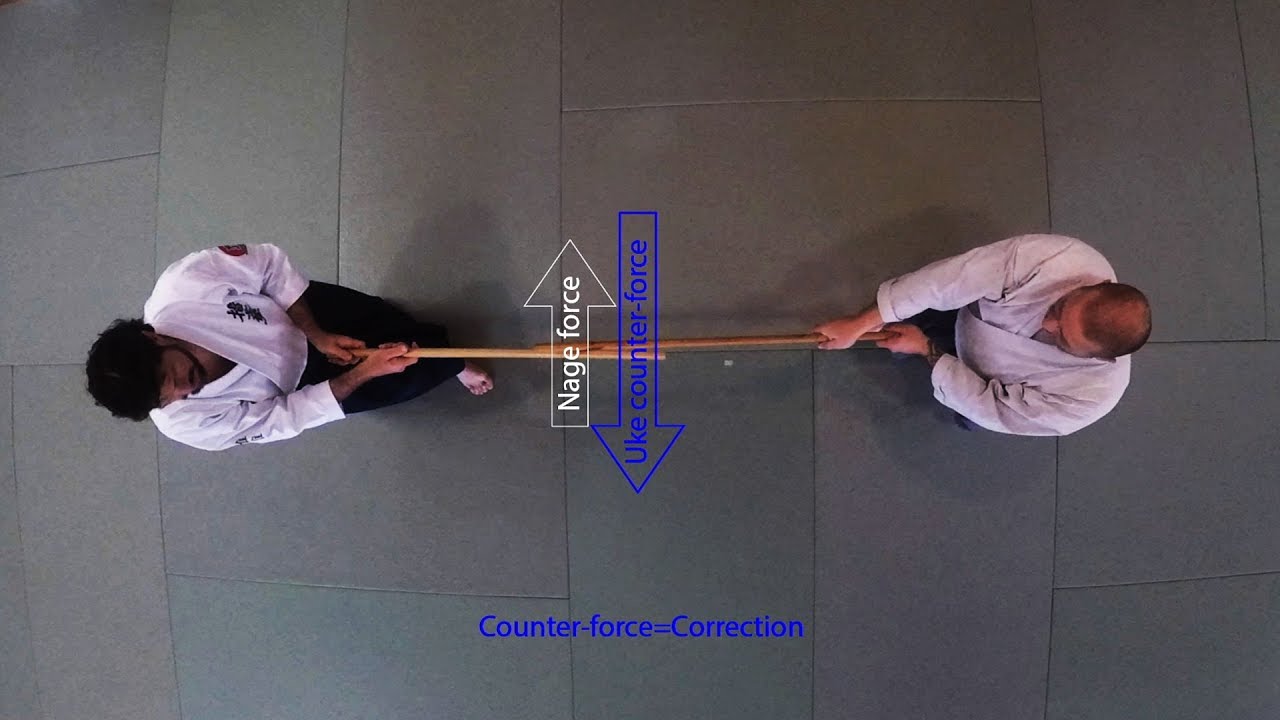 Principles of Biofeedback: Opposition Reflex and Overcorrection Reflex