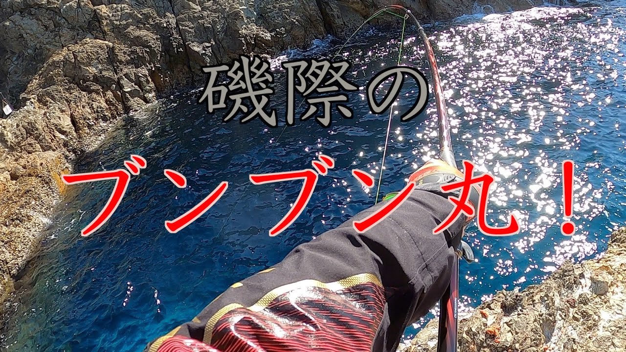 【尾長アタックのはずが！？】強烈な魚達に引きずり回され。。。