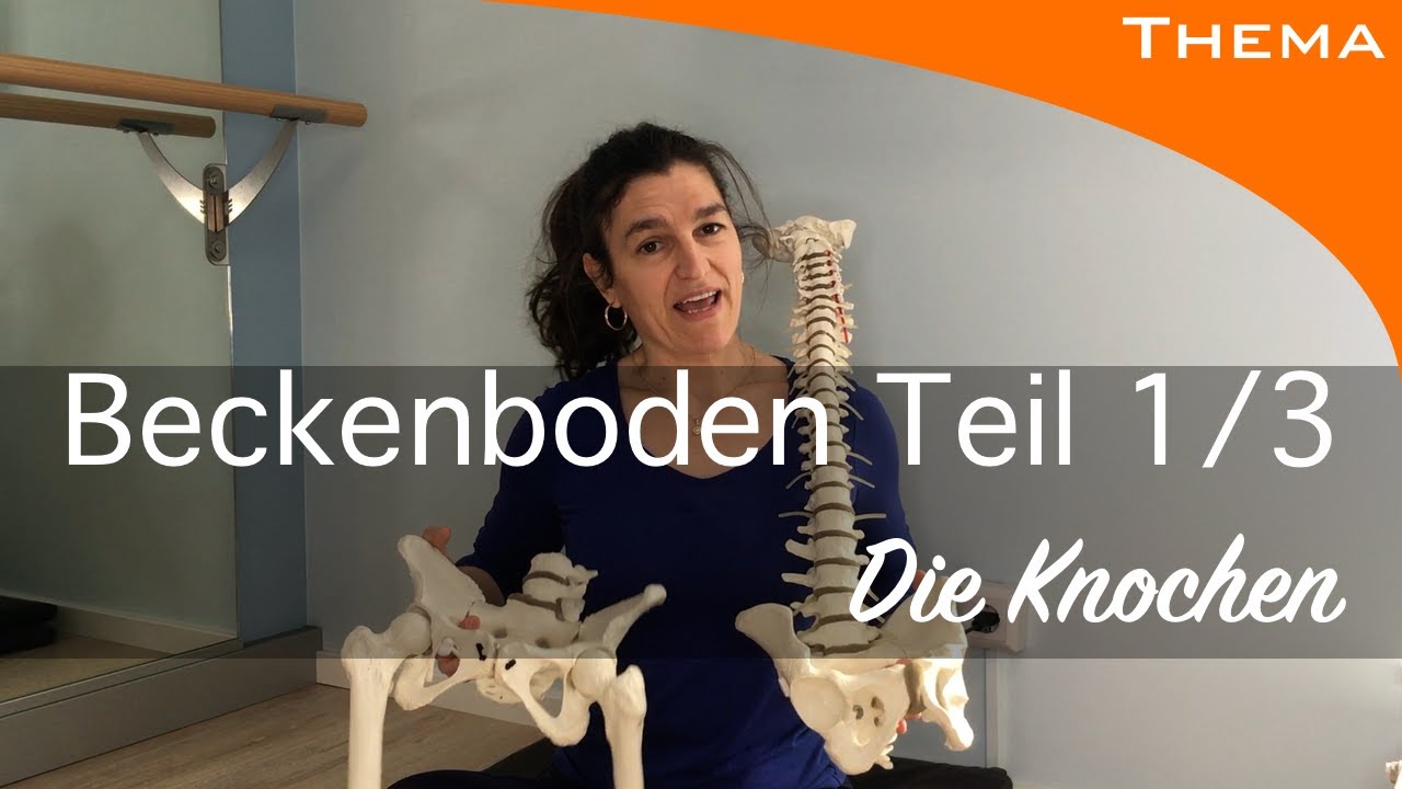Der Beckenboden Teil 1/3 - DIE KNOCHEN