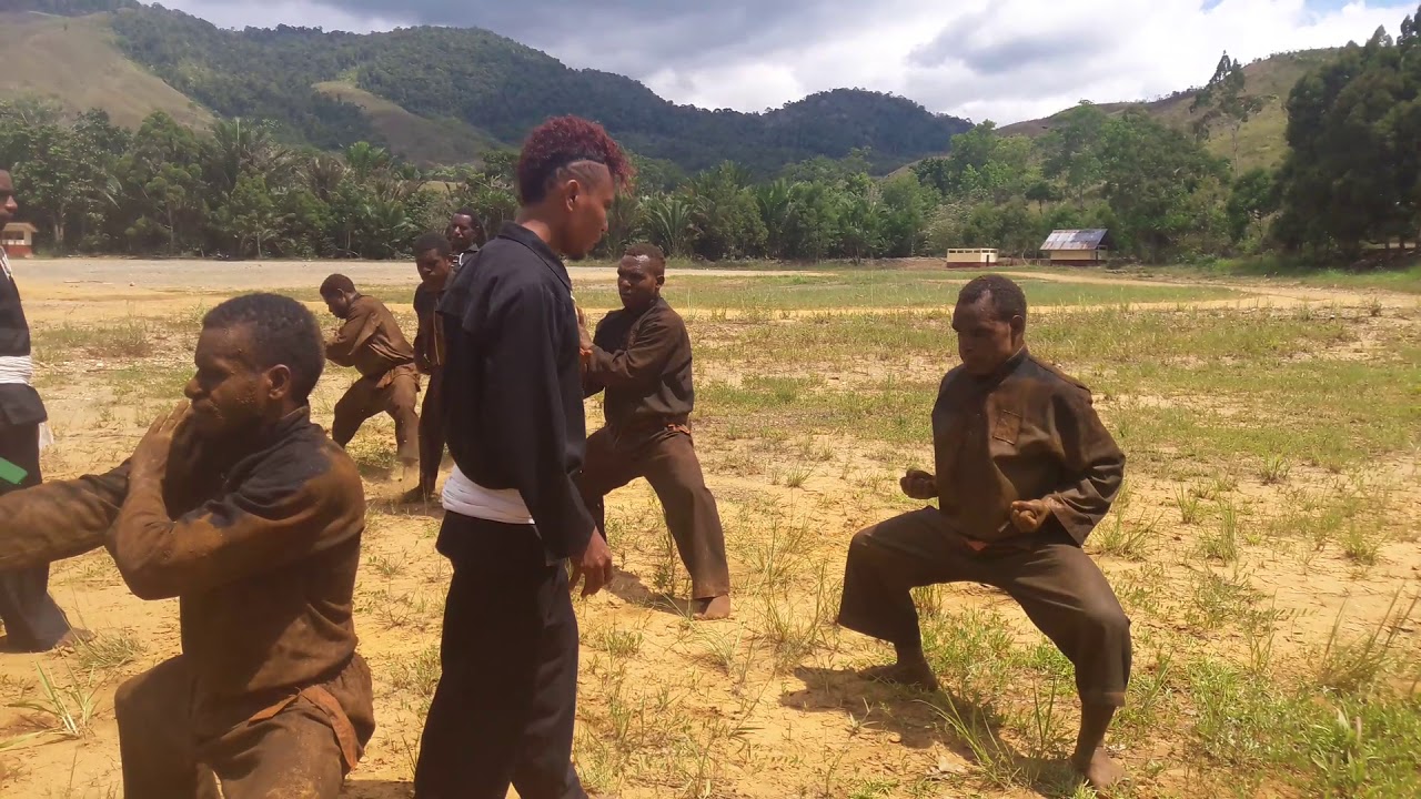PSHT   PAPUA
