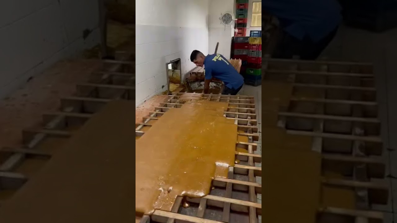 Este es el proceso de elaboraci&oacute;n de la panela 👌🙌 como se llama en tu pa&iacute;s ?
