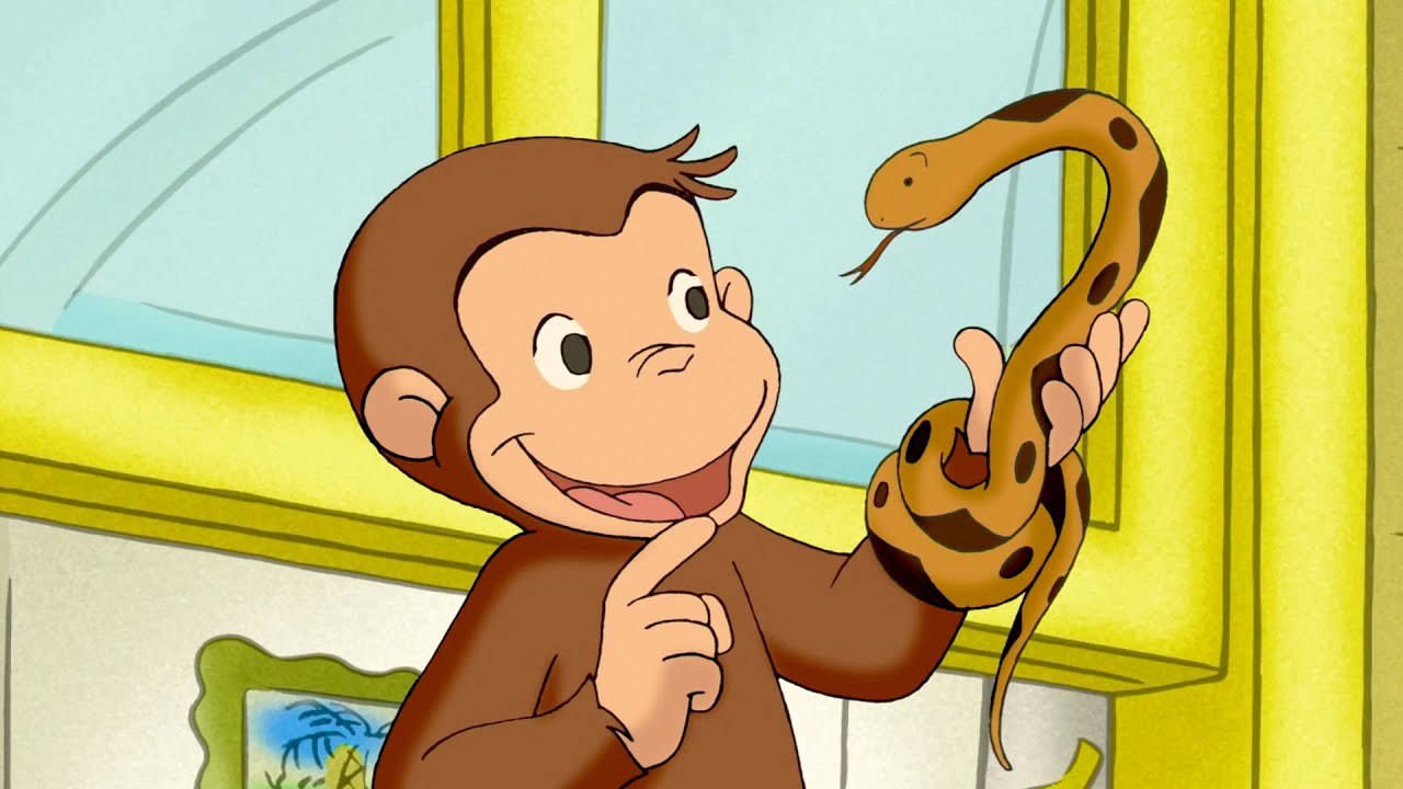 George, o Caçador de Cobras! 🐵 George, o Curioso 🐵 Desenhos Animados