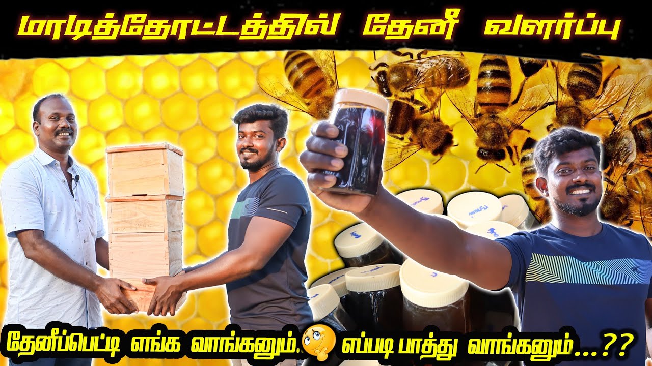 தேனீப்பெட்டி வாங்க கெளம்பியாச்சு | HOW TO BUY HONEY BEE BOX | மாடிதோட்டத்தில் தேனீப்பெட்டி
