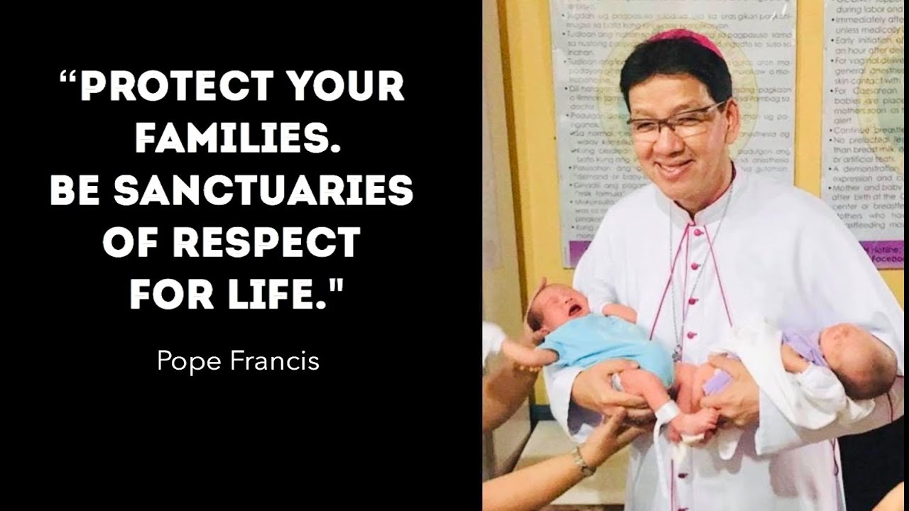 27th Sunday in Ordinary Time Year B | Mark 10:2-16