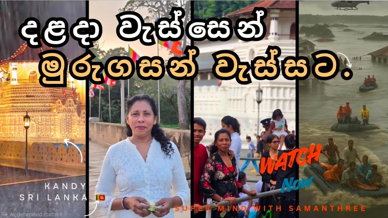 දළදා වැස්සෙන් මුරුගසන් වැස්සට.. 🪷 | Sri Lanka Flood | දළදා වැස්ස | Kandy Sri Lanka 🇱🇰 