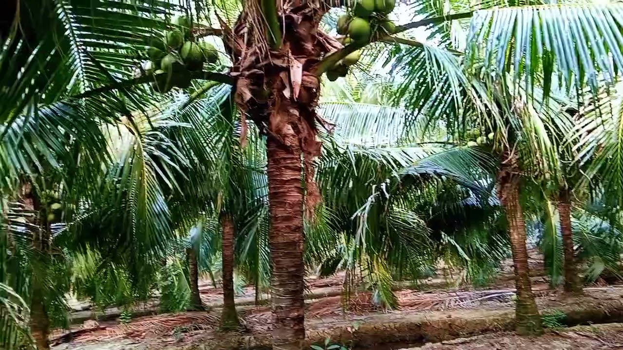 Tiếp tục công việc 