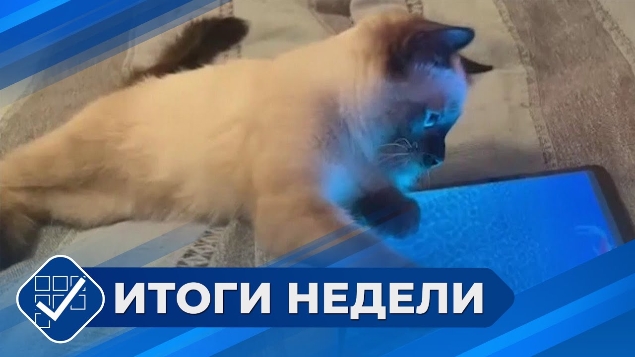 Итоги недели. 18 января 2026 года