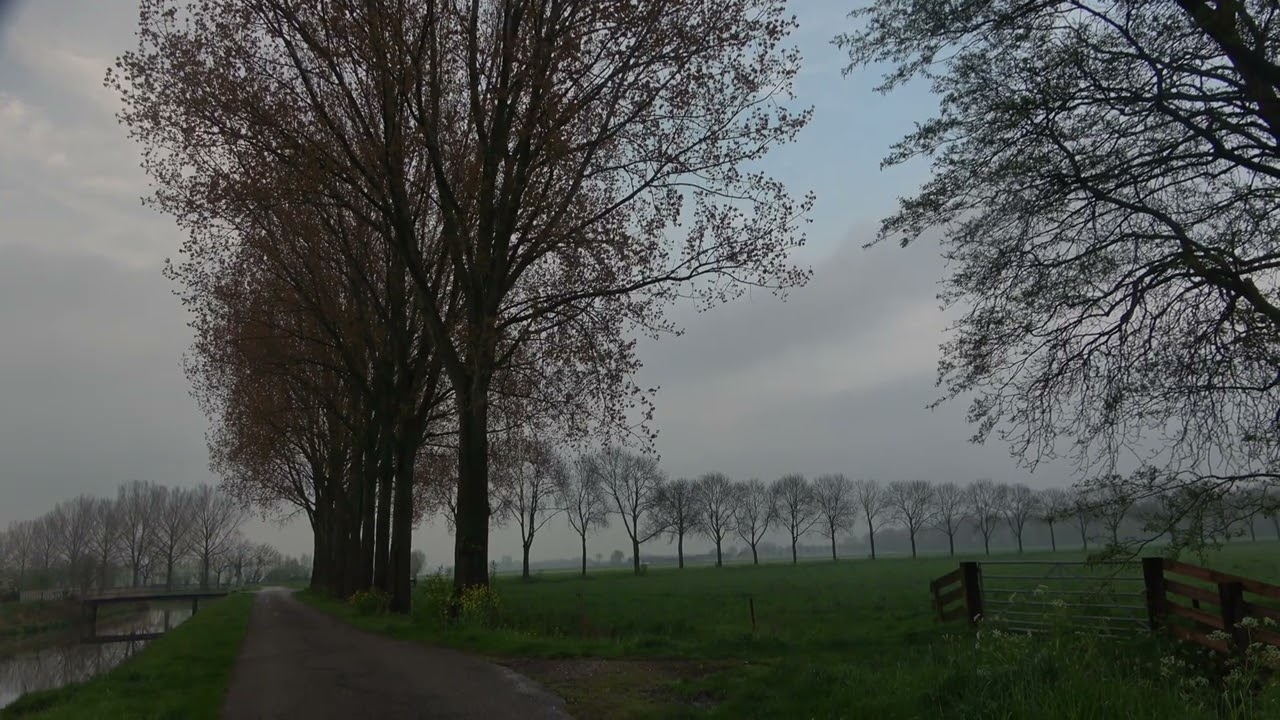 Leerdam Bloesem 220423