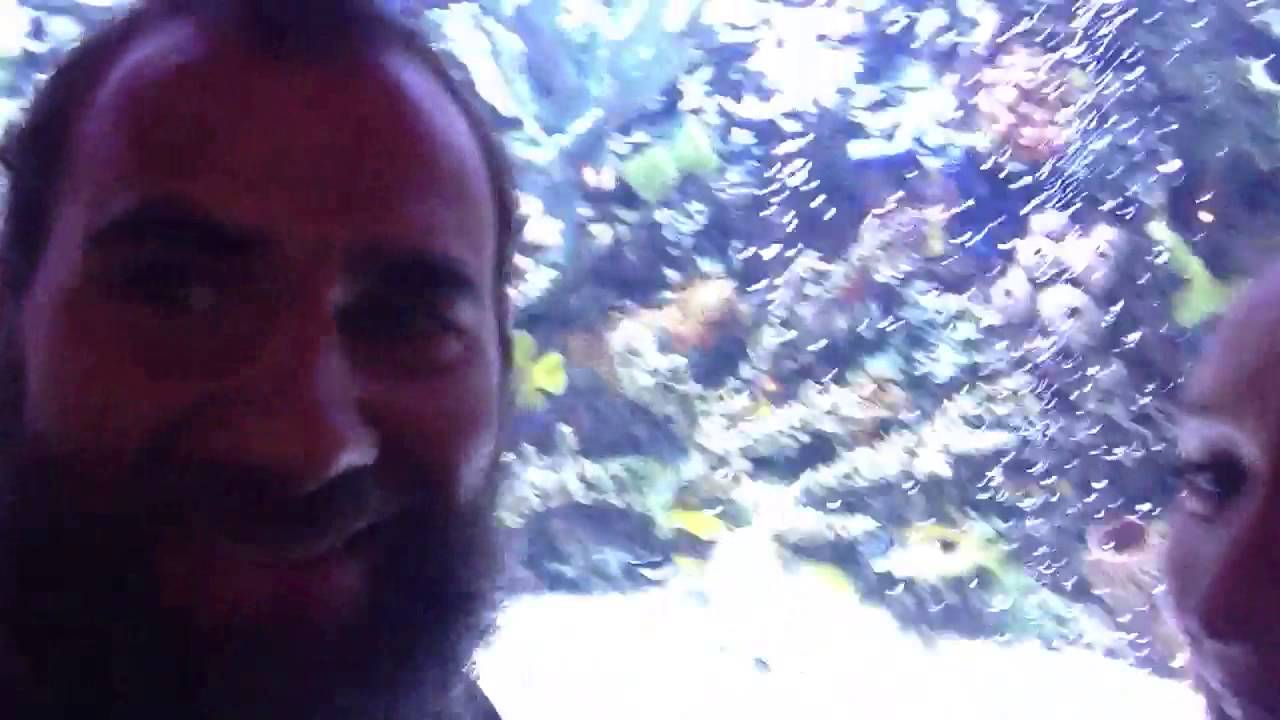 The Palermo's at by th bucket