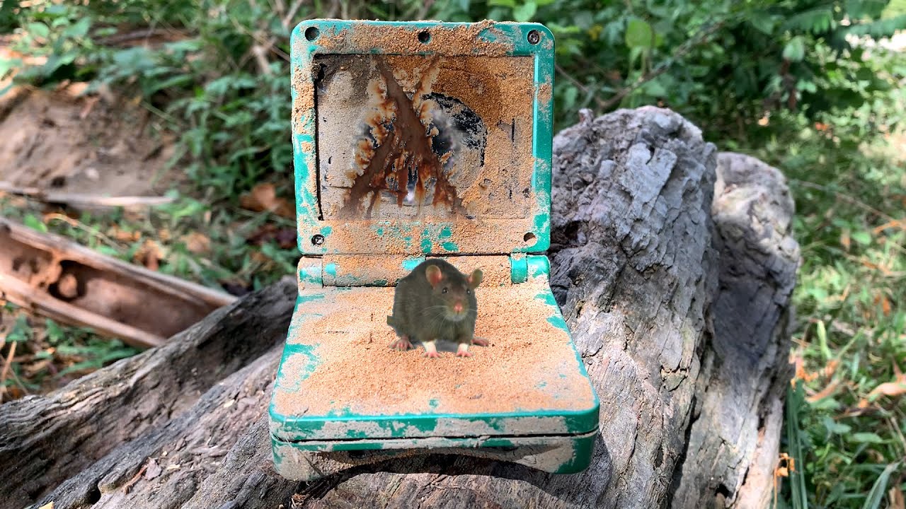 Restoration Nintendo Gameboy Destroyed | Gameboy Nintendo Restore & Repair