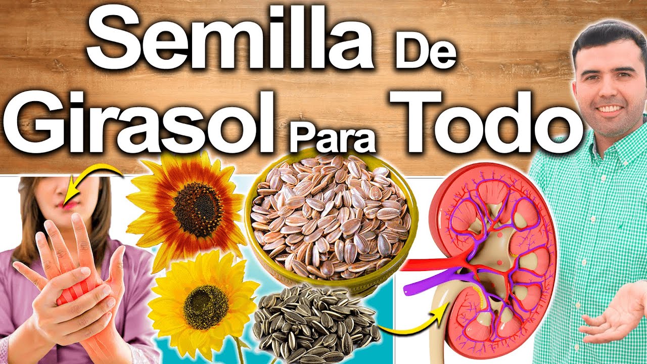 5 Semillas De Girasol Todos Los Días - Para Qué Sirve? - Beneficios Para Tu Salud Y Belleza