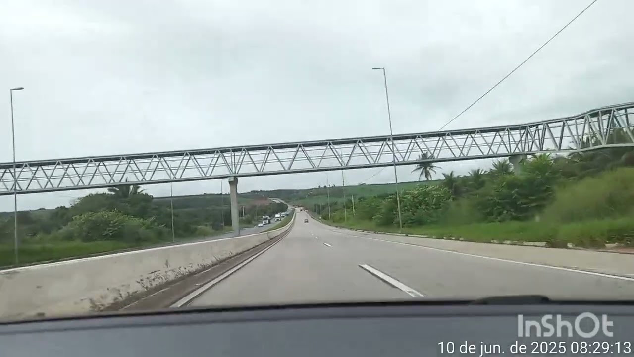 Meu grito Roberto Carlos