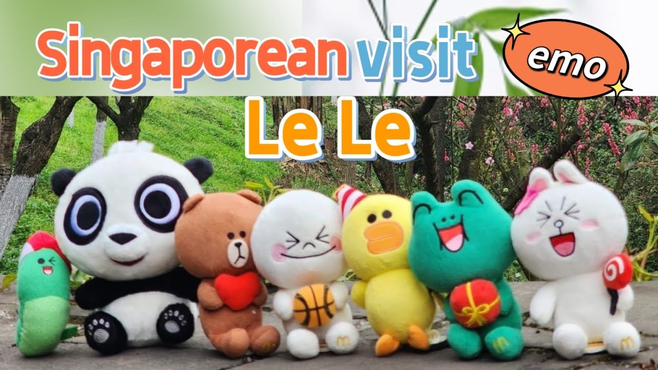 [ENG] Singaporean fans visit giant panda Le Le 叻叻 in Dujiangyan China, sharing trip info