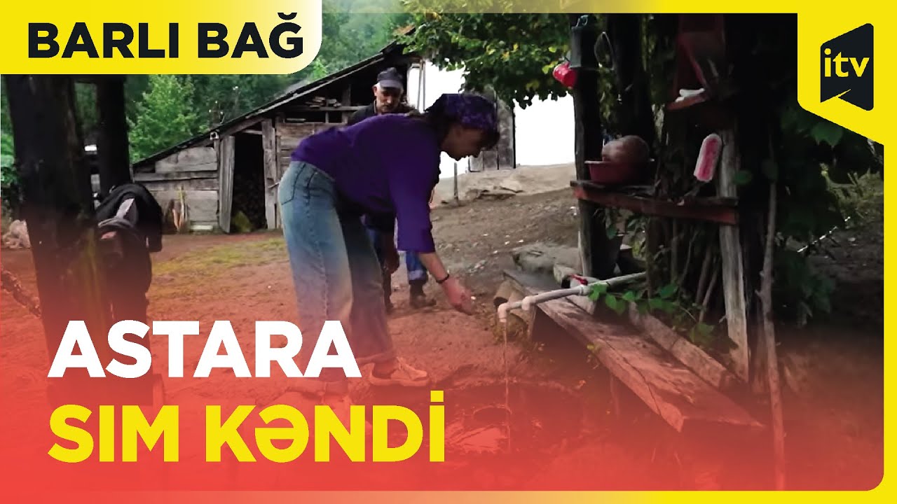 Barlı bağ | Astara Sım kəndi
