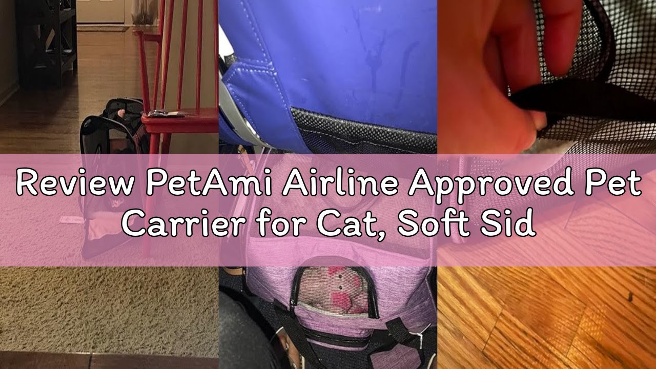 Review PetAmi Airline Approved Pet Carrier for Cat, Soft Sided Dog Carrier for Small Dog, Cat Travel