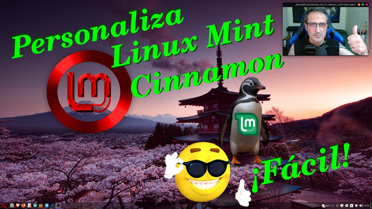 Personaliza Linux Mint Cinnamon fácilmente.
