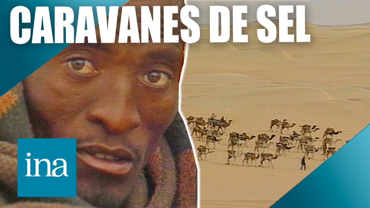 Les touaregs producteurs de sel dans le désert du Ténéré 🐫🧂 | INA Voyages