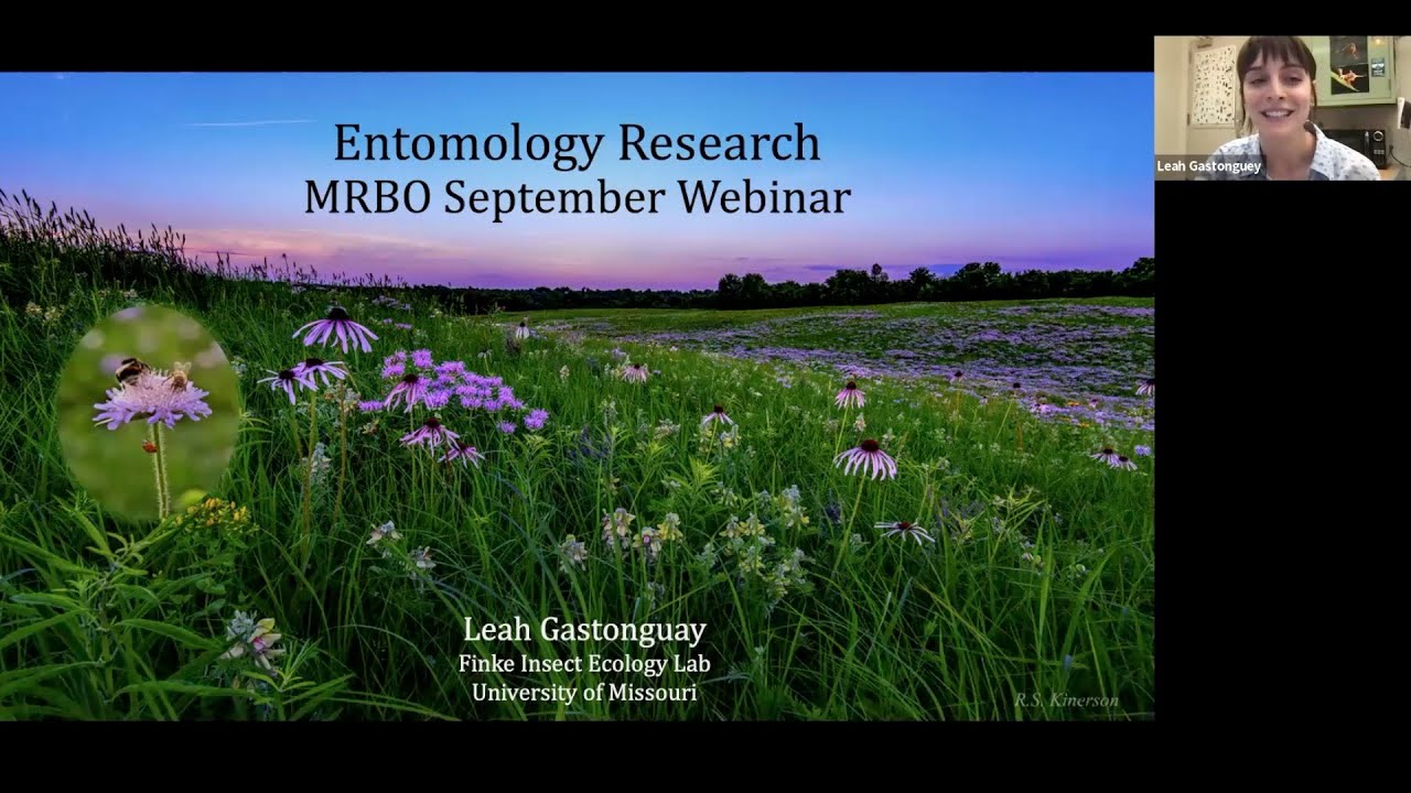 Entomology Research in Missouri