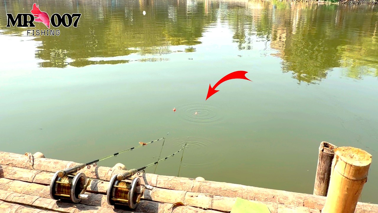 🎣 টিকিট কেটে জোড়া কাতলা মাছ ধরা |  Katla Mach Dhora Bangla | Big Katla Fishing Video 🐟