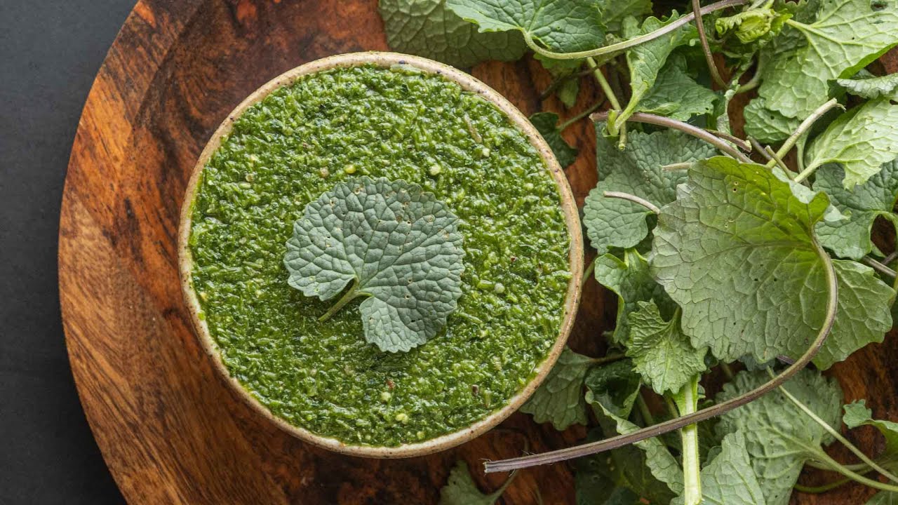 Garlic Mustard Pesto