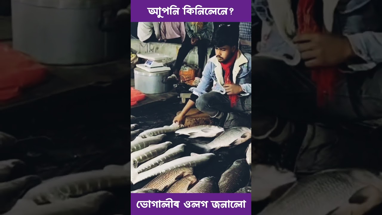 ভোগালী ওলগ… 