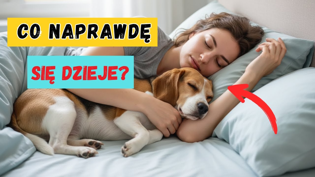 NAUKA Wyjaśnia, Co Się Dzieje, Gdy Śpisz Ze Swoim Psem