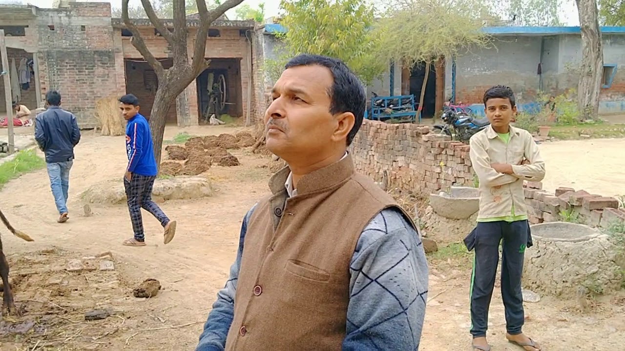 Honey Bee, मधु मखी उड़ने भागने के बाद पुनः उन्हें बॉक्स में कैसे लाएं -1
