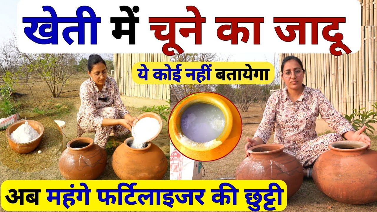 खेत में चूना का सही उपयोग | Lime uses in agriculture | Limestone uses | chuna ka spray |zinc ferrous