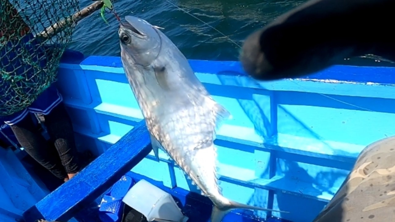 Unli strike Seabream at may lapis pa#Rey Angler