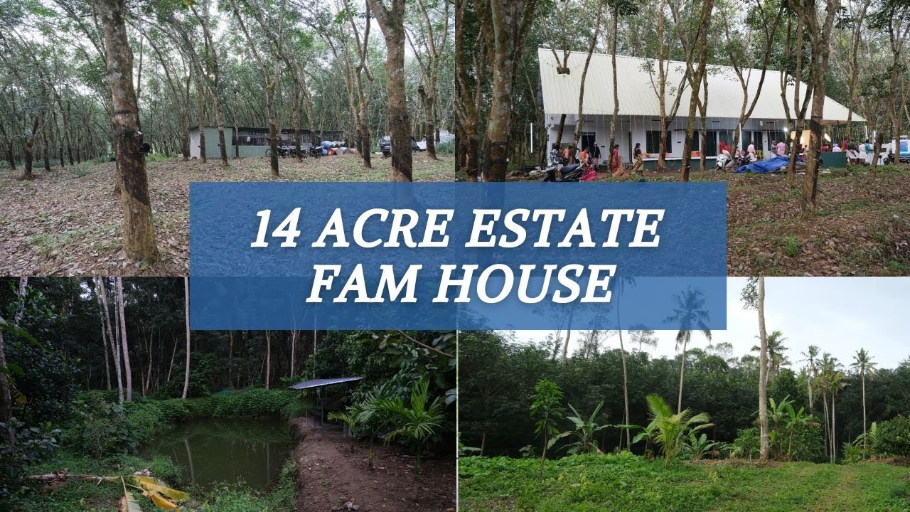 LAND FOR SALE IN TRIVANDRUM|RUBBER ESTATE IN NEDUMANGAD|  basheer tvm