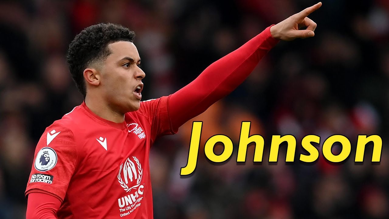 Brennan Johnson ● Best Goals & Skills 🏴󠁧󠁢󠁷󠁬󠁳󠁿
