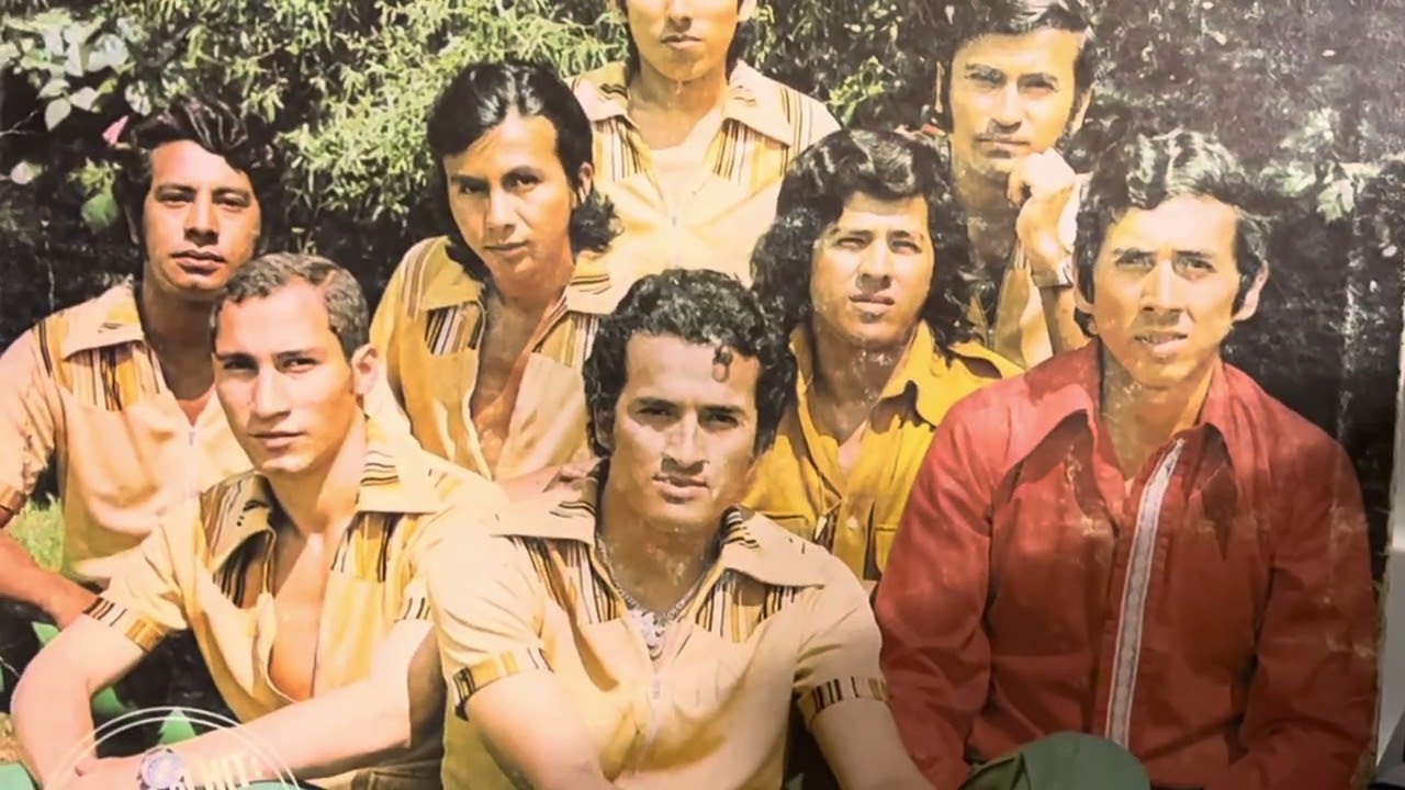 Los mirlos charapas de oro