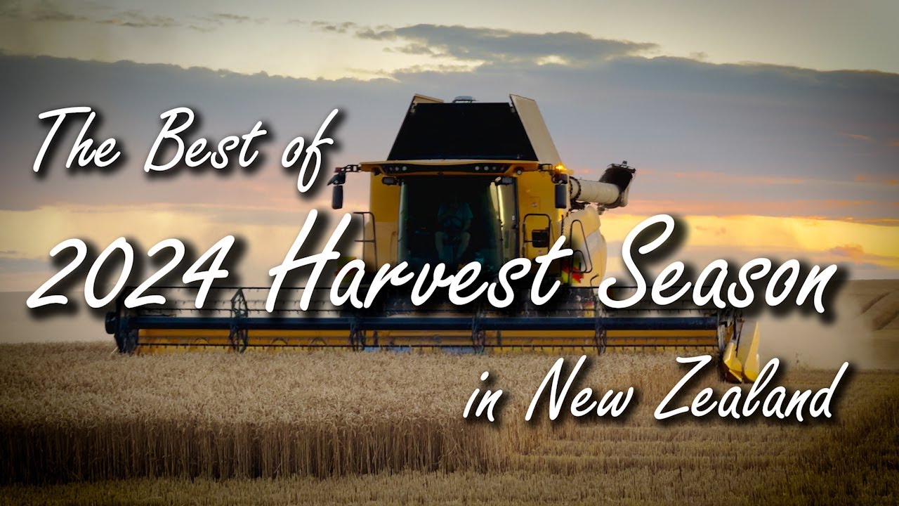 The best of 2024 Harvest Season in New Zealand