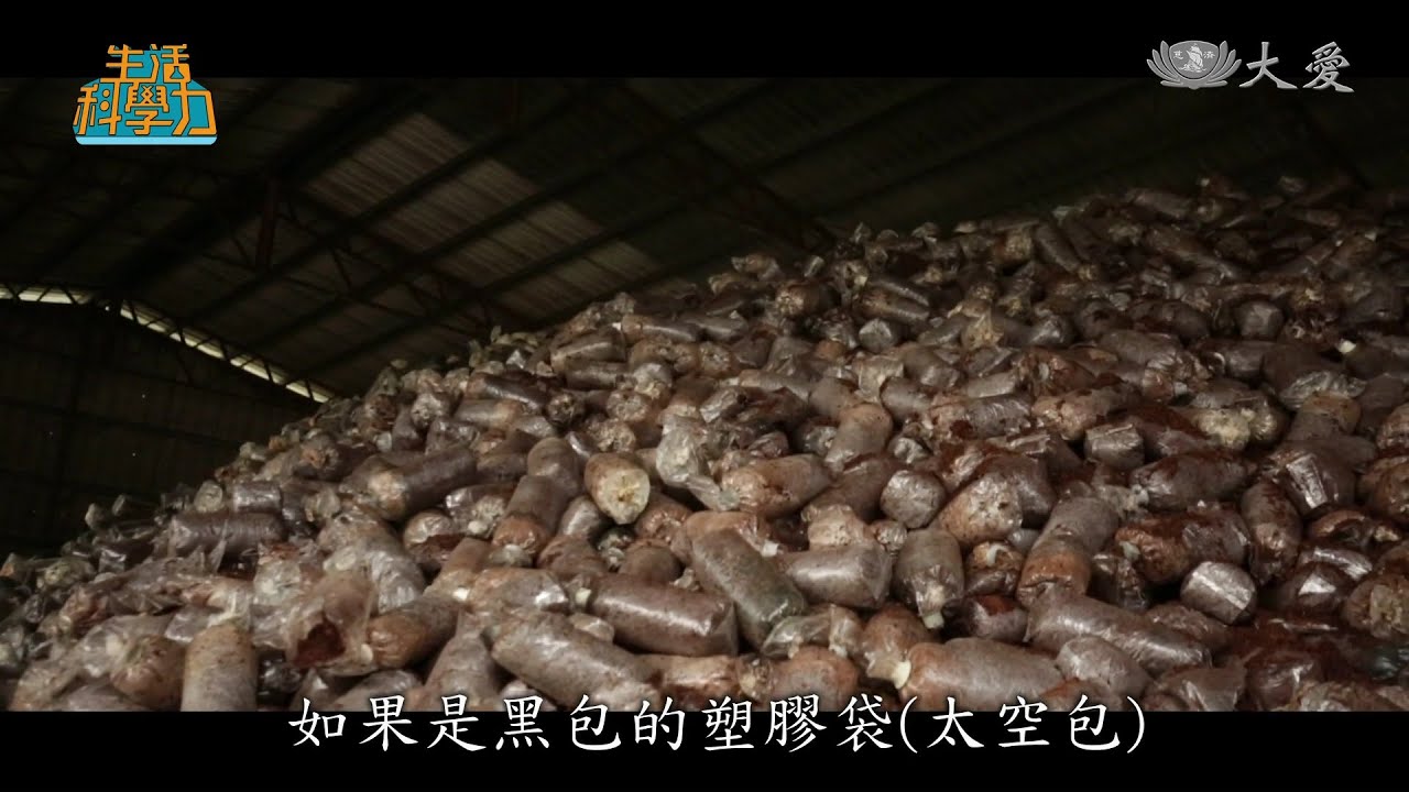 【菇生不惜】太空包成災-晶圓菇場 古月葡萄 台中農改場 台中太平農會